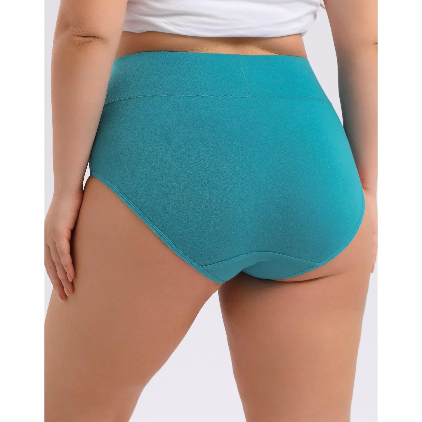 Women's Plus Size High Waisted Cotton Underwear 4-Pack