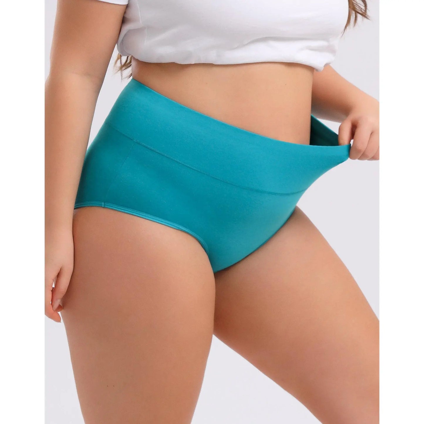 Women's Plus Size High Waisted Cotton Underwear 4-Pack